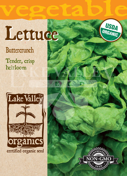 Organic Lettuce Buttercrunch Heirloom