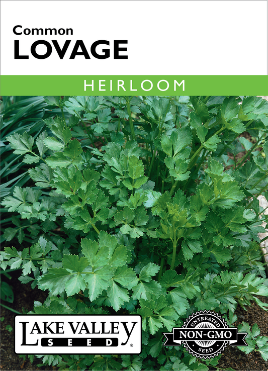 Lovage