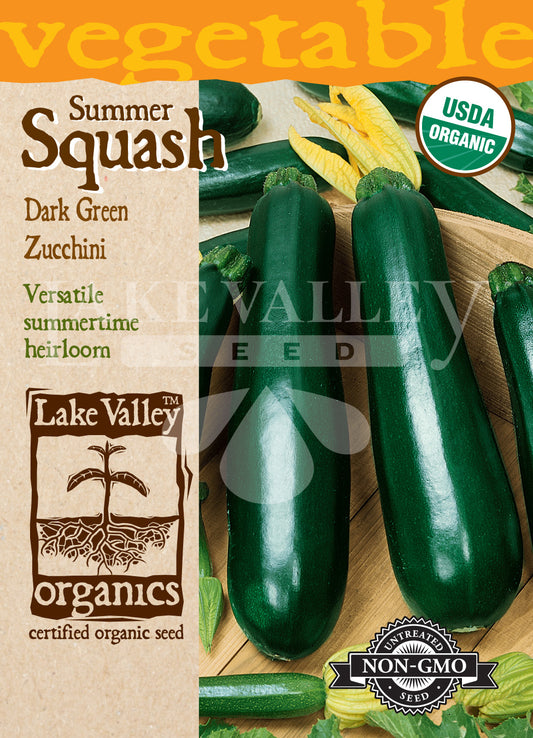 Organic Squash Summer Zucchini Dark Green Heirloom