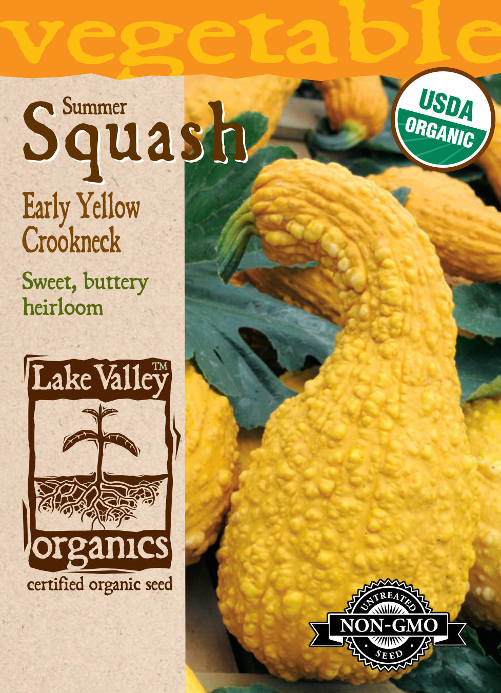 Squash (Summer) Early Yellow Crookneck