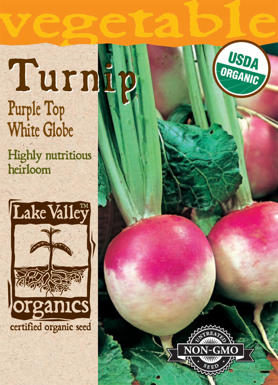 Turnip Purple Top White Globe