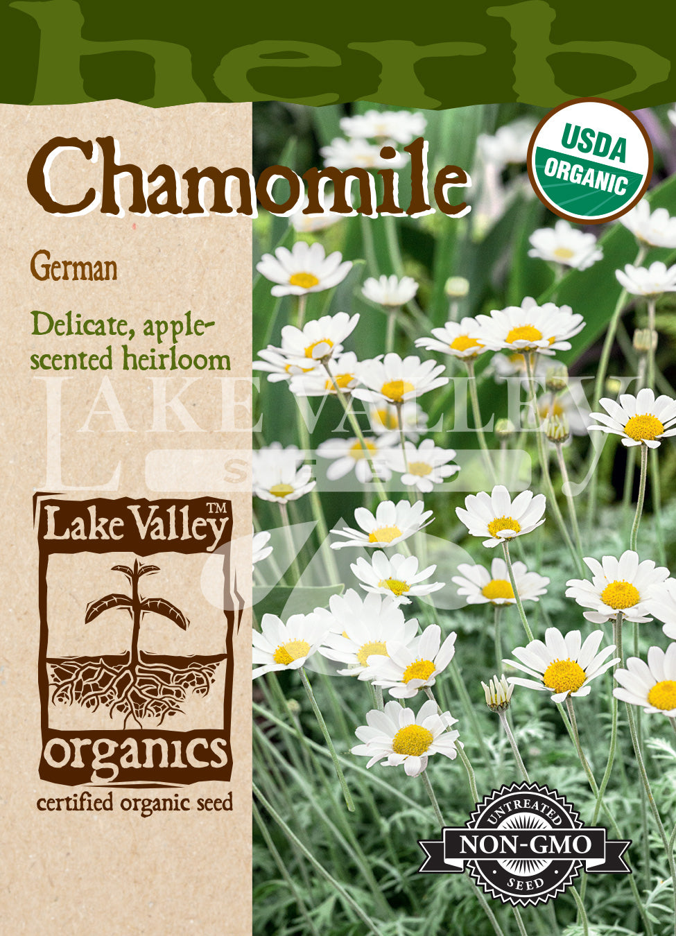 Organic Chamomile Heirloom