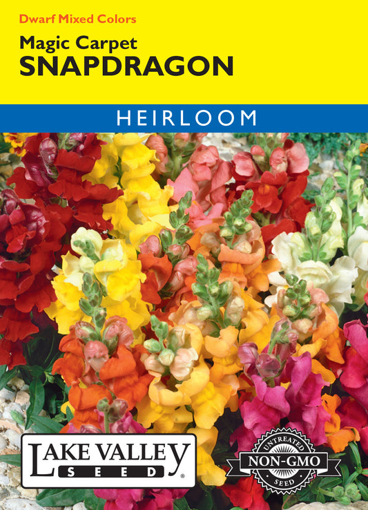 Snapdragon Magic Carpet Dwarf Mixed Colors