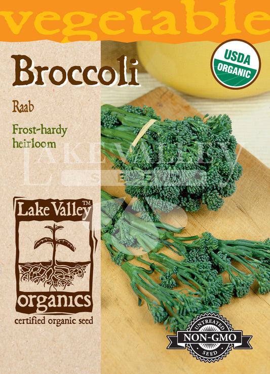 Organic Broccoli Raab Spring (rapini) Heirloom