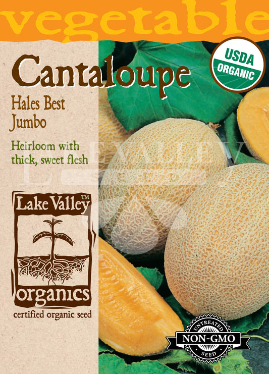 Organic Cantaloupe Hales Best Jumbo Heirloom
