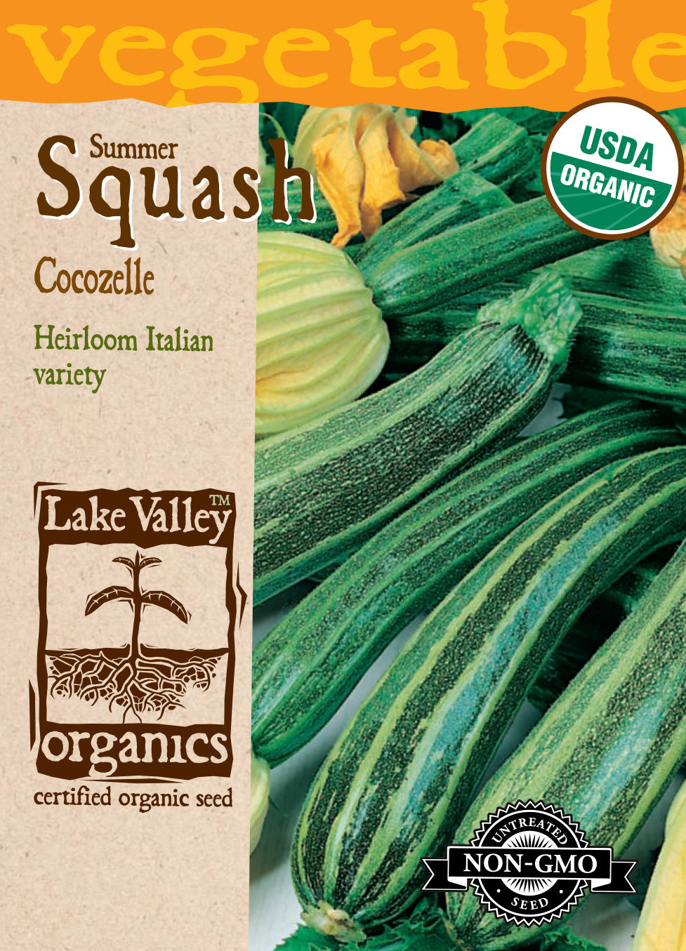 Squash (Summer) Cocozelle