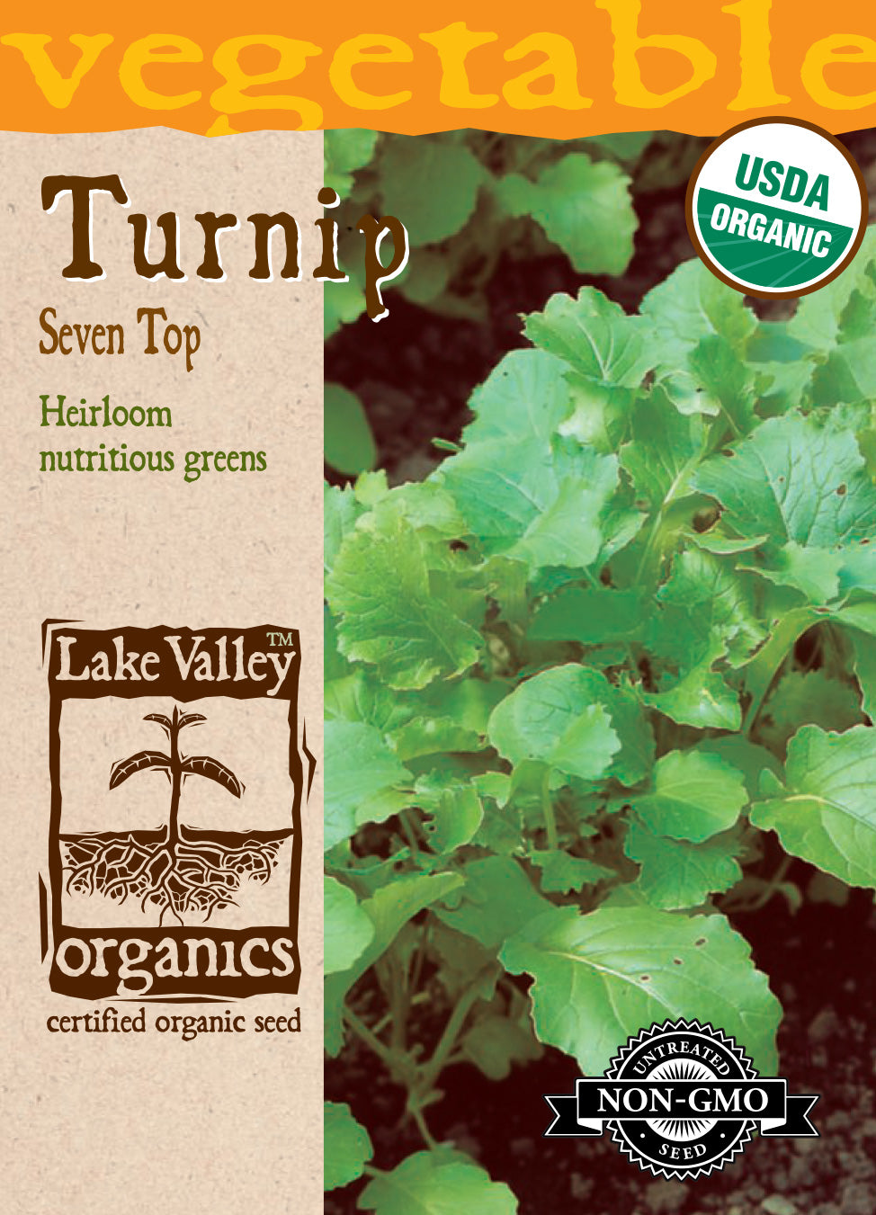 Turnip Seven Top