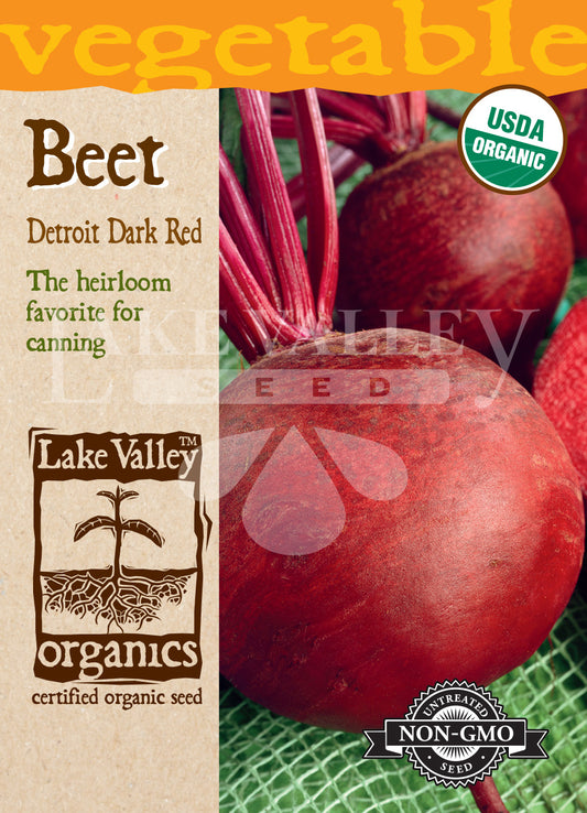 Organic Beet Detroit Dark Red Heirloom