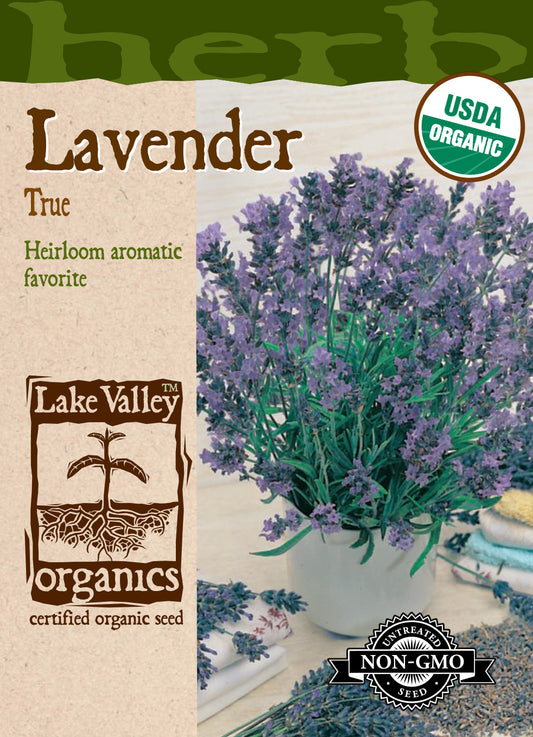 Lavender True