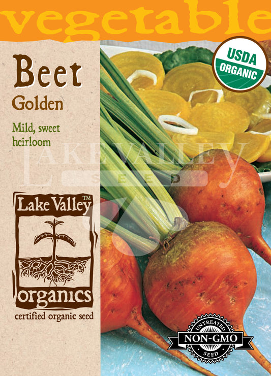 Organic Beet Golden Heirloom