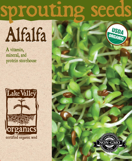 Alfalfa