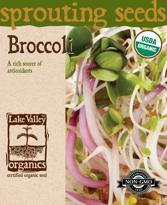 Broccoli