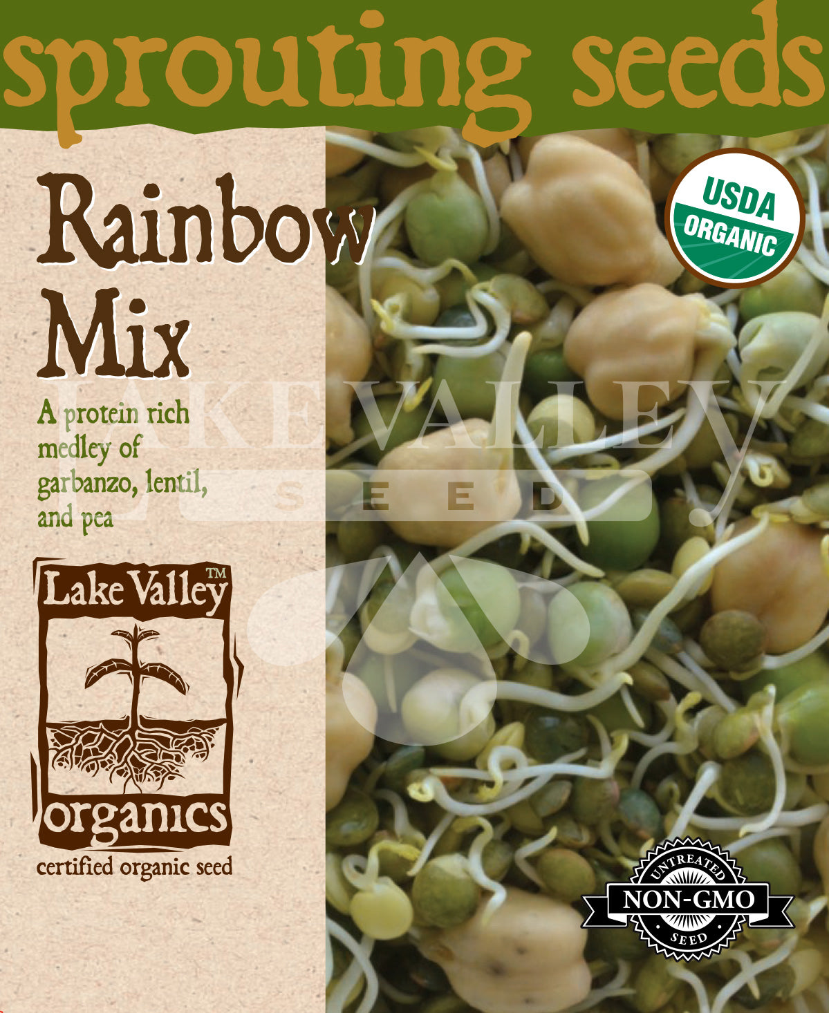 Sprouts Rainbow Mix (garbanzo, Lentil, Pea)