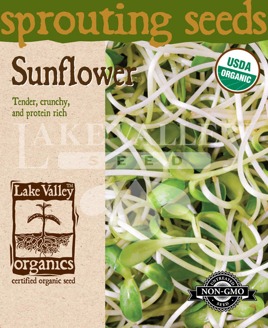 Sprouts Sunflower Baby Black