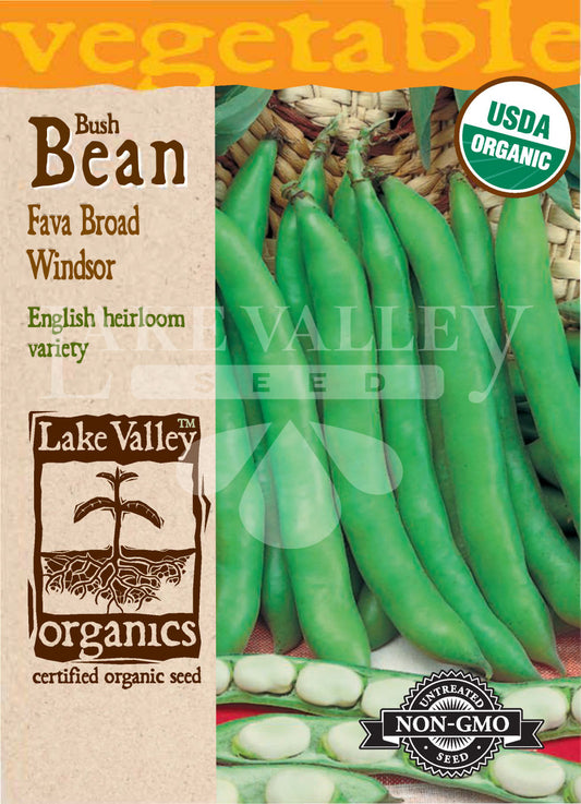 Organic Bean Fava Broad Windsor Heirloom