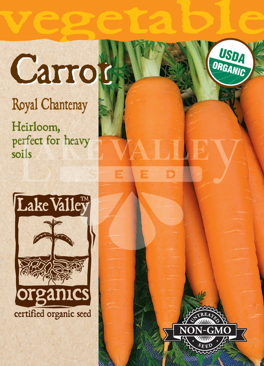 Organic Carrot Royal Chantenay Heirloom