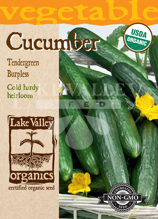 Organic Cucumber Tendergreen Burpless Heirloom