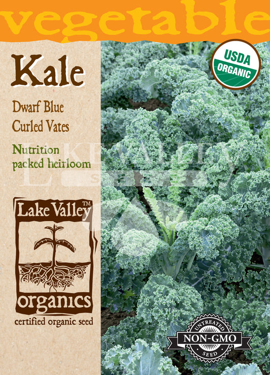 Organic Kale Dwarf Blue Curled Vates Heirloom