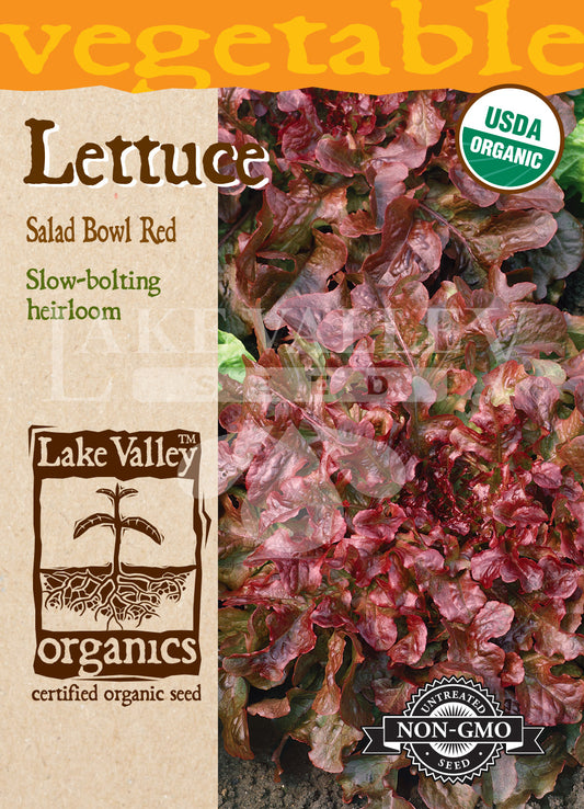 Organic Lettuce Salad Bowl Red Heirloom