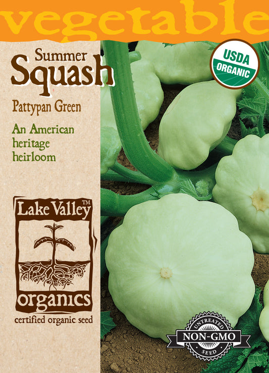 Squash (Summer) Pattypan Green