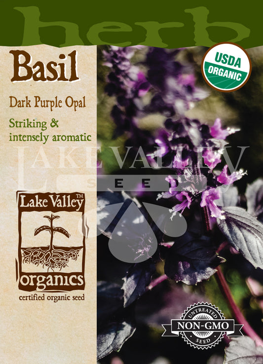 Organic Basil Purple Dark Opal Heirloom