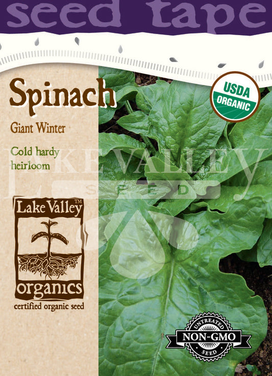 Seed Tape ­ Organic Spinach Giant Winter