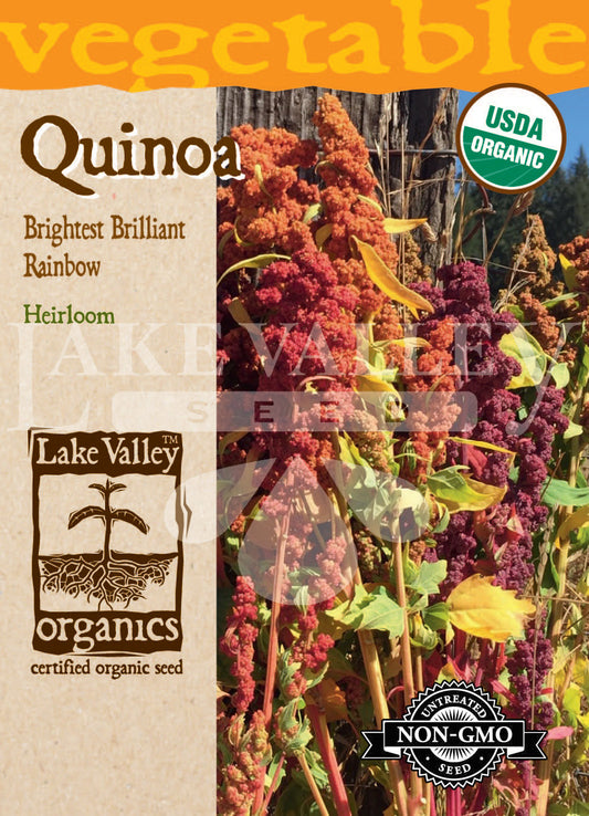 Organic Quinoa Brightest Brilliant Rainbow