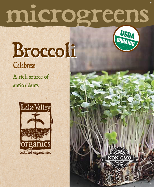 Broccoli Calabrese