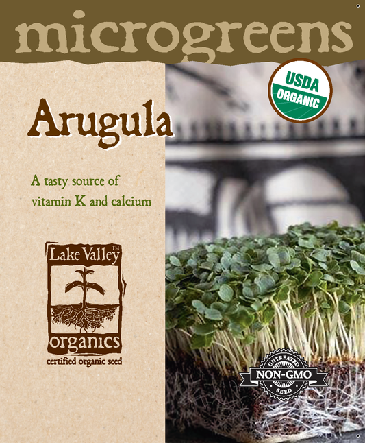 Arugula