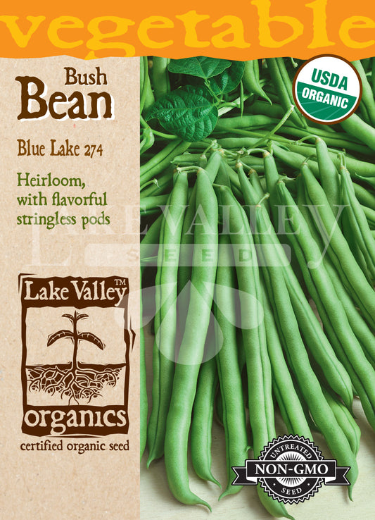 Organic Bean Bush Blue Lake 274 Heirloom
