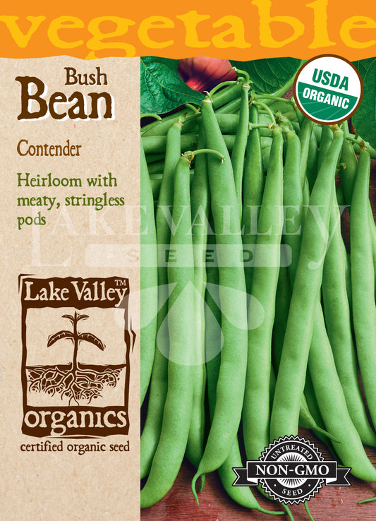 Organic Bean Bush Contender Heirloom