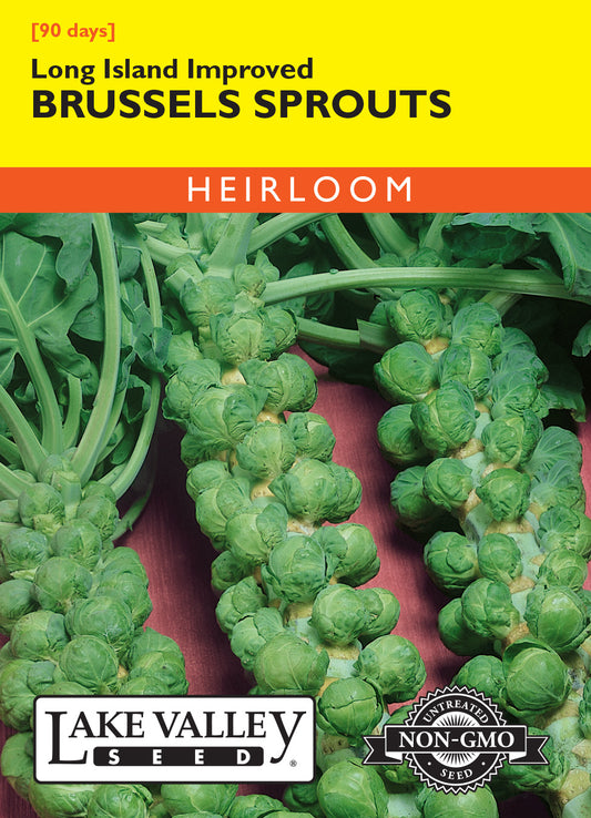 Brussels Sprouts Long Island Improved