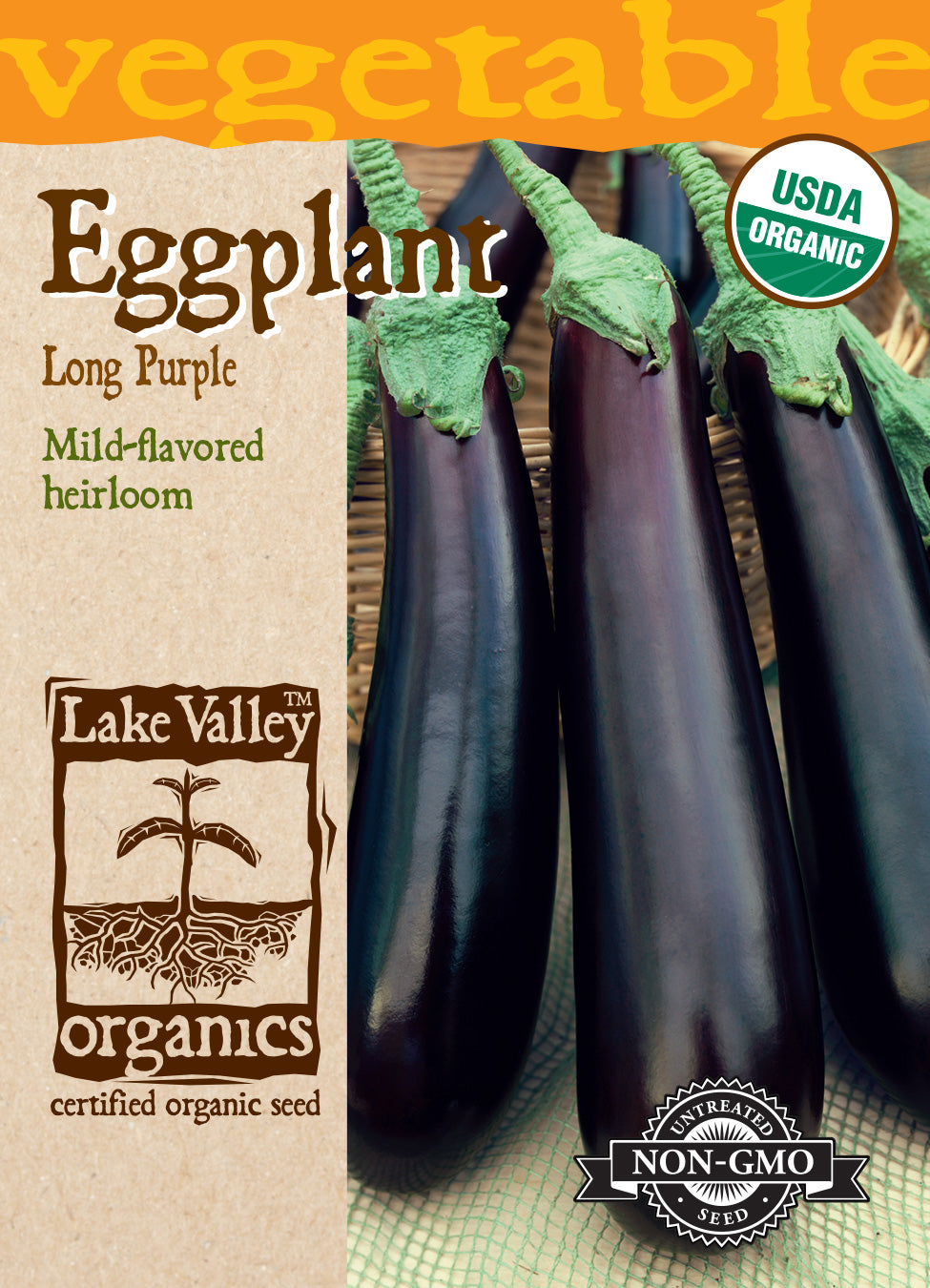 Eggplant Long Purple