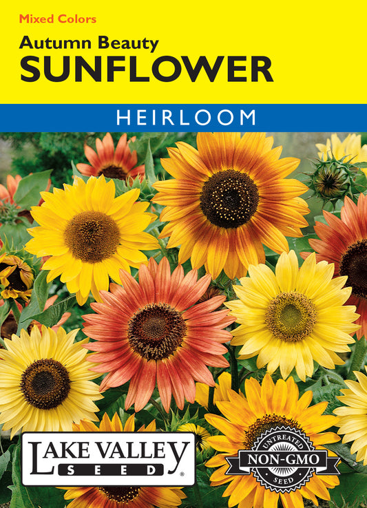 Sunflower Autumn Beauty Mixed Colors