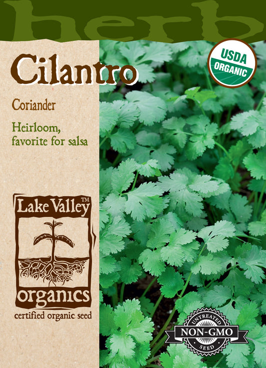 Cilantro (Coriander)