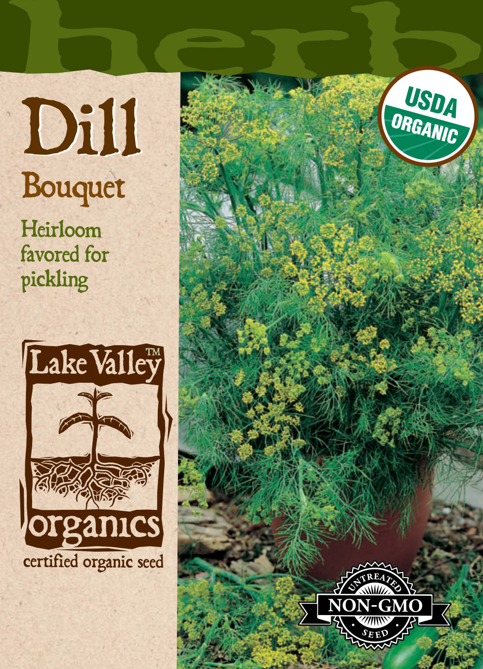 Dill Bouquet