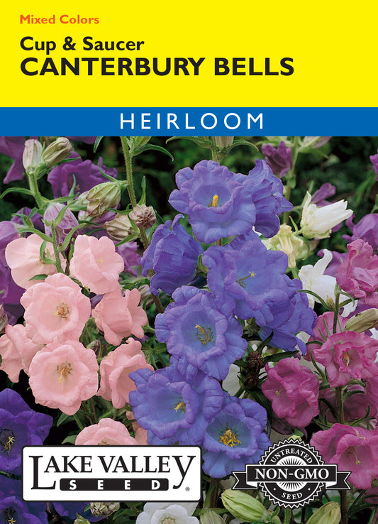 Canterbury Bells Cup & Saucer Mixed Colors