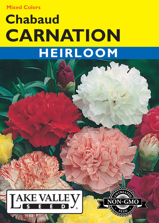 Carnation Chabaud Mixed Colors