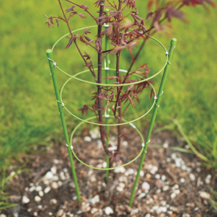 Soporte para plantas plegable Grow1 6'