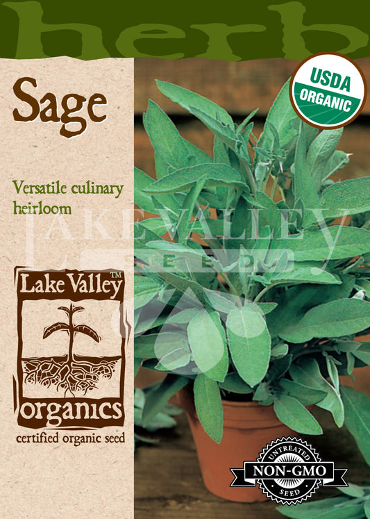 Organic Sage Broadleaf Heirloom