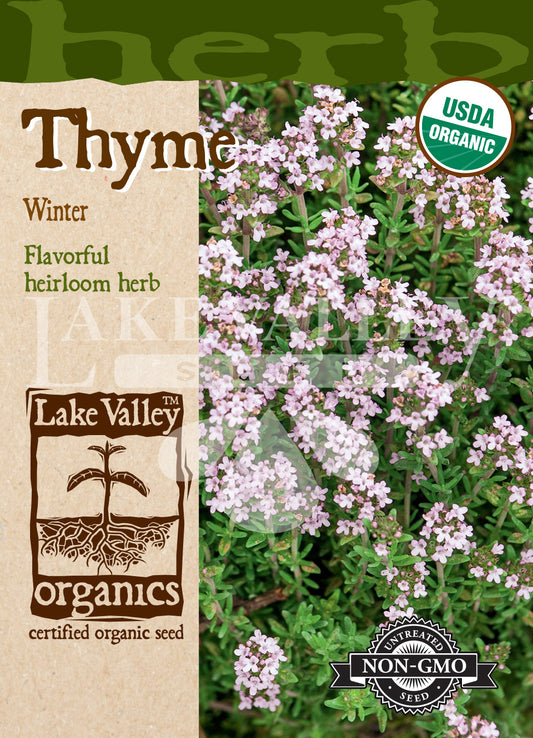 Organic Thyme Winter Heirloom