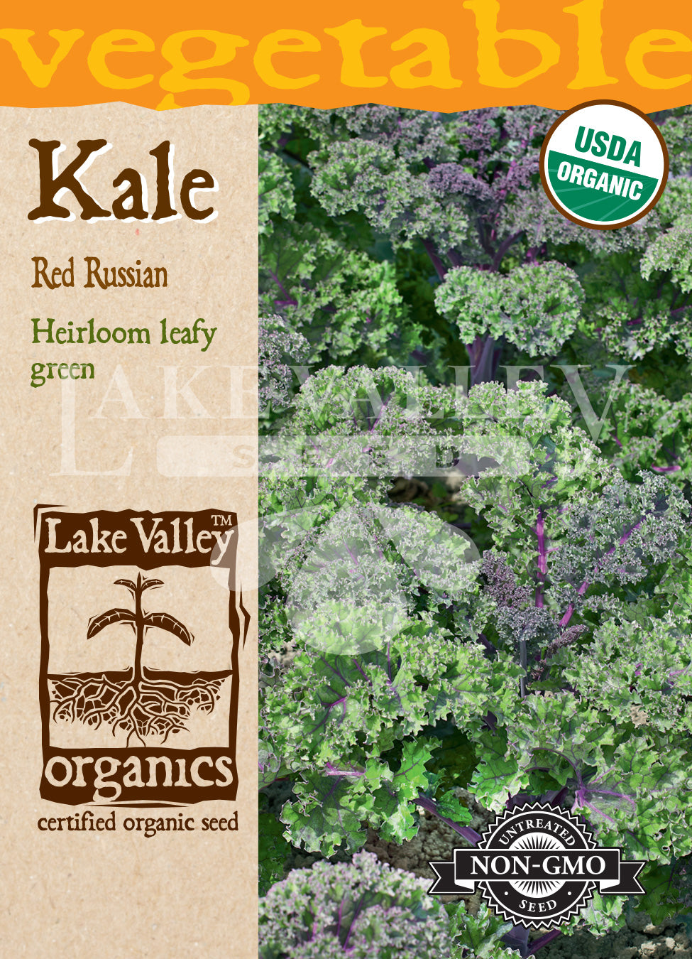 Organic Kale Red Russian Heirloom