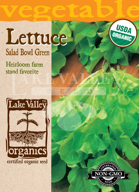 Organic Lettuce Salad Bowl Green Heirloom