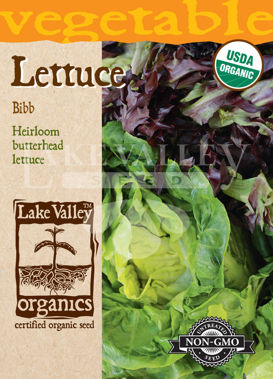 Organic Lettuce Bibb Heirloom