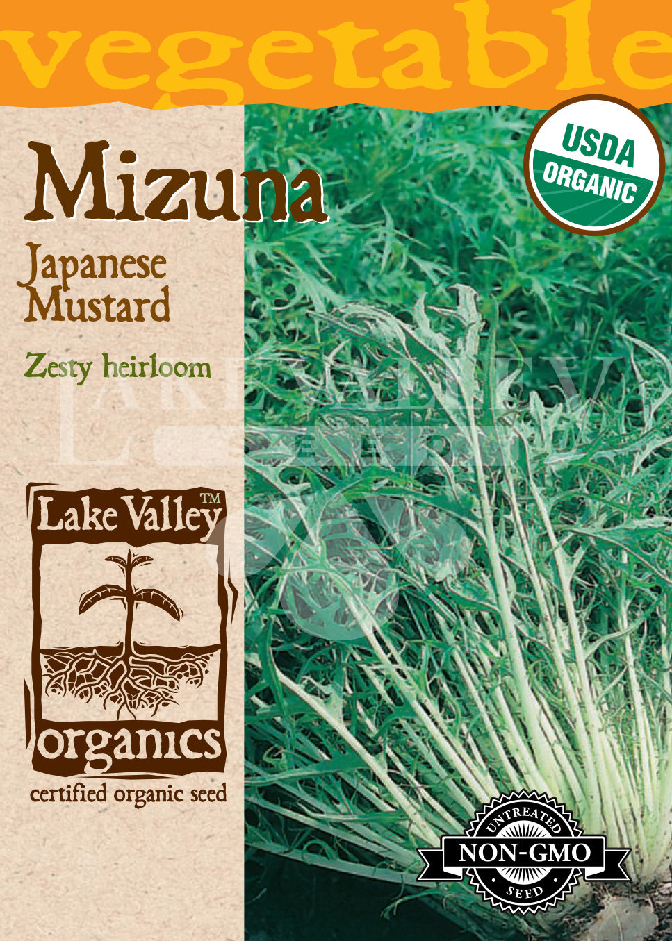 Organic Mustard Greens Mizuna Japanese Mustard Heirloom