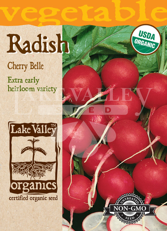 Organic Radish Cherry Belle Heirloom