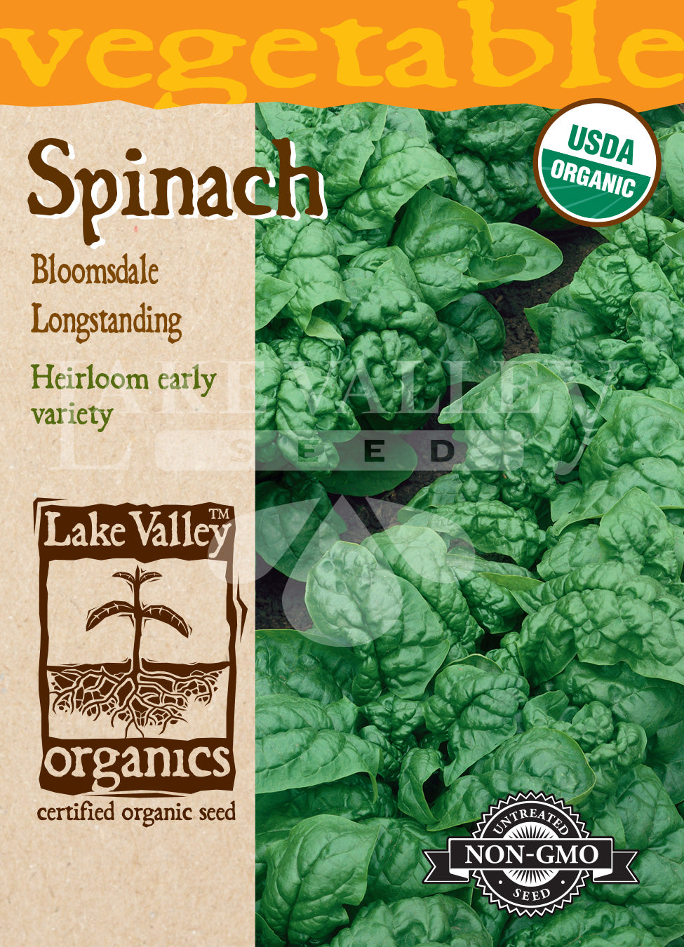 Organic Spinach Bloomsdale Longstanding Heirloom