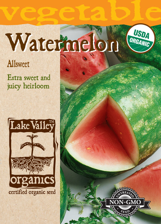 Watermelon Allsweet