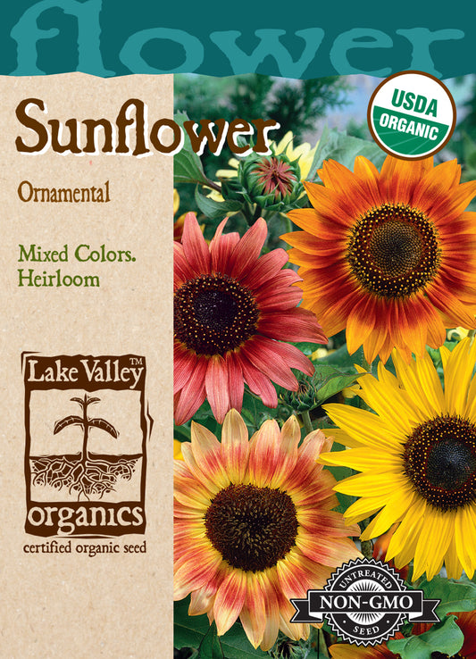 Sunflower Ornamental Dwarf Mixed Colors