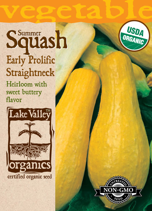 Squash (Summer) Early Prolific Straightneck